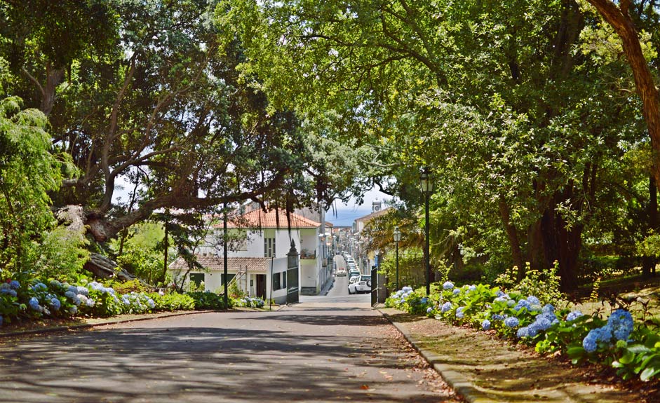 Jardim José do Canto in Ponta Delgada