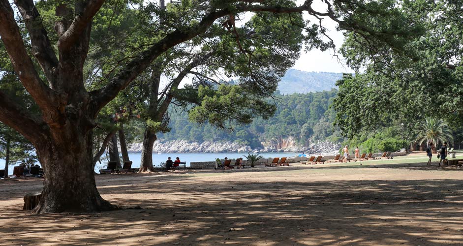 Sunbathing at Lokrum