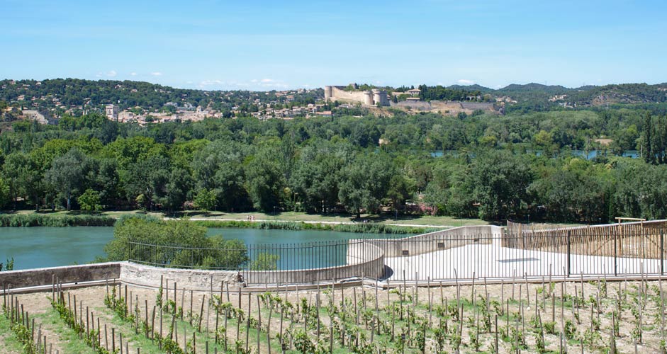 A view from Rocher de Doms