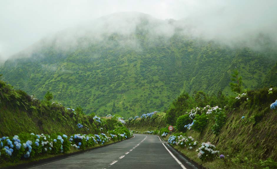 Road in São Miguel