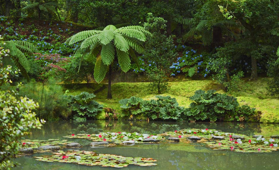 Terra Nostra Garden on São Miguel island