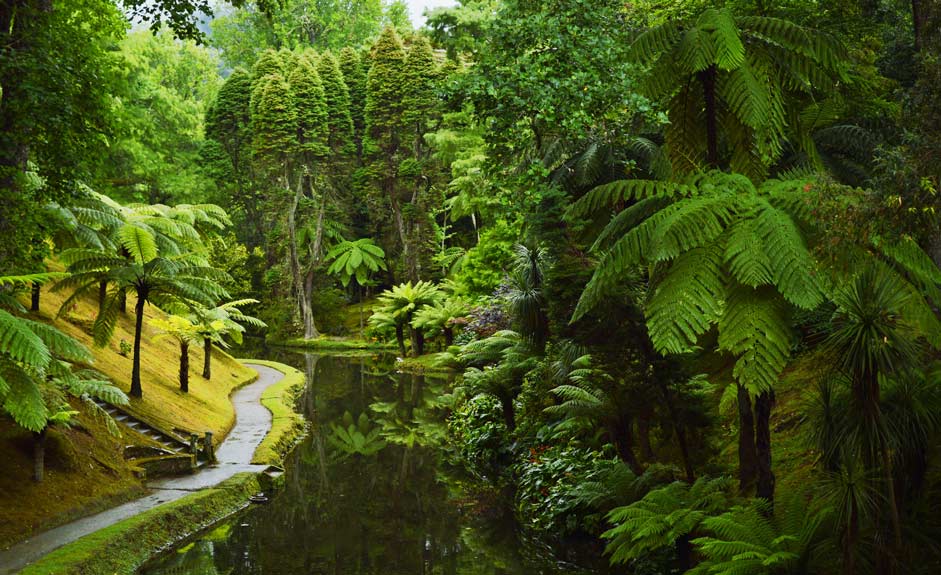 Terra Nostra garden in the Azores