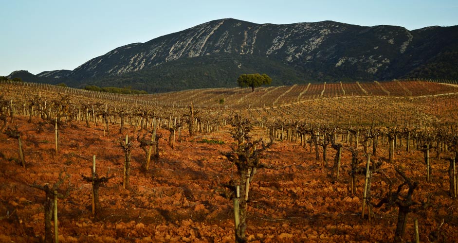 Arrabida Natural Park