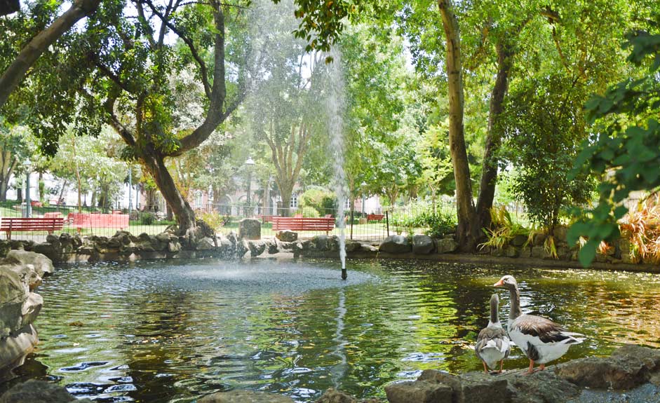Fountain in Jardim Publico