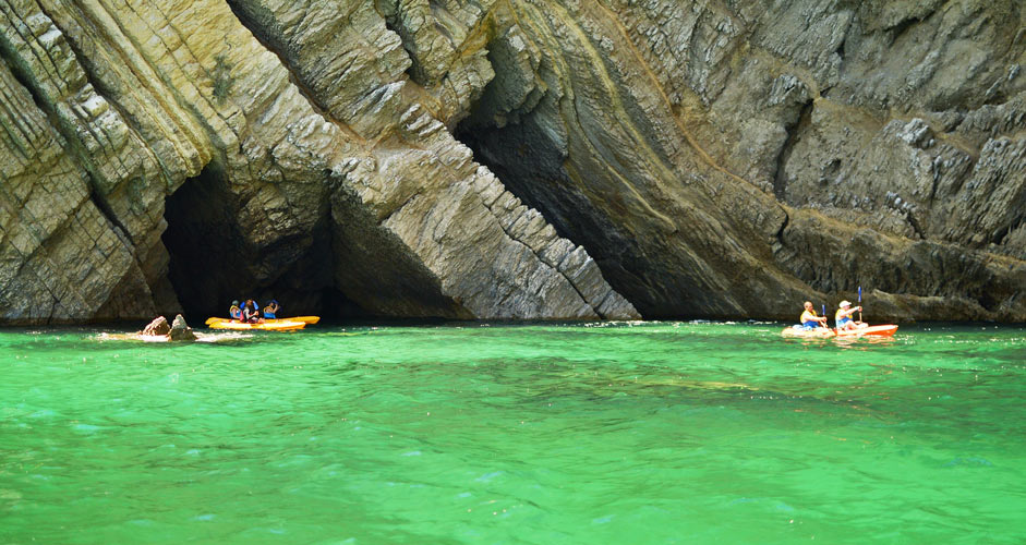 Professor Luiz Saldanha Marine Park
